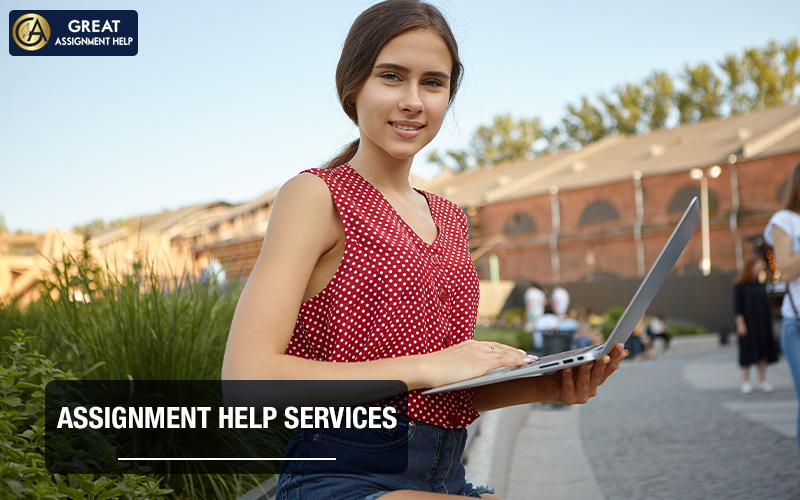 Online Assignment Help