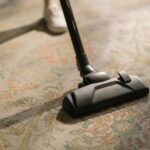 The Ultimate Benefits of Professional Carpet Cleaning for Home Design