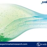 Rheology Modifiers Market