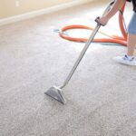 Why Your Home Deserves a Professional Carpet Cleaning Upgrade