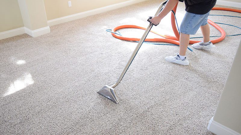 Why Your Home Deserves a Professional Carpet Cleaning Upgrade