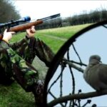 How to Identify Dove Species for Targeted Hunting Success