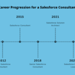 What is the Career Objective of a Salesforce Consultant?