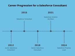 What is the Career Objective of a Salesforce Consultant?