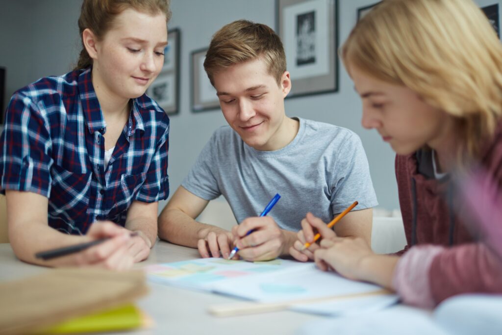 Academic Writing for NZ Secondary School Students