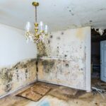 flood damage repair in kansas-city