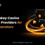 Turnkey Casino Software Providers