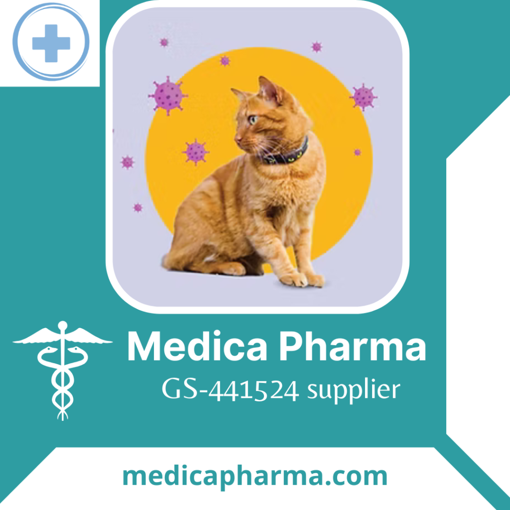 MedicaPharma: Your Trusted GS-441524 Supplier for FIP Treatment