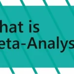 Meta Analysis Services