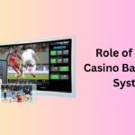 Online Casino Back Office System