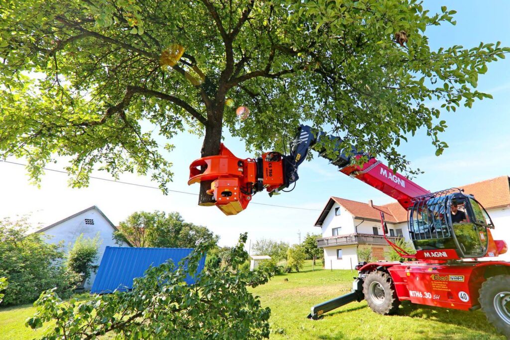 Emergency Tree Removal Services