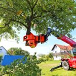 Emergency Tree Removal Services