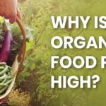 organic food