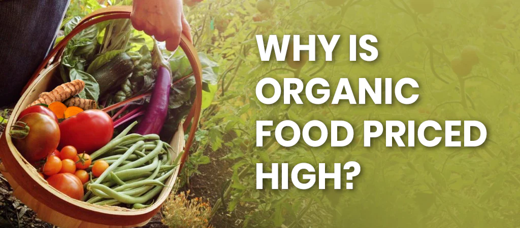 organic food